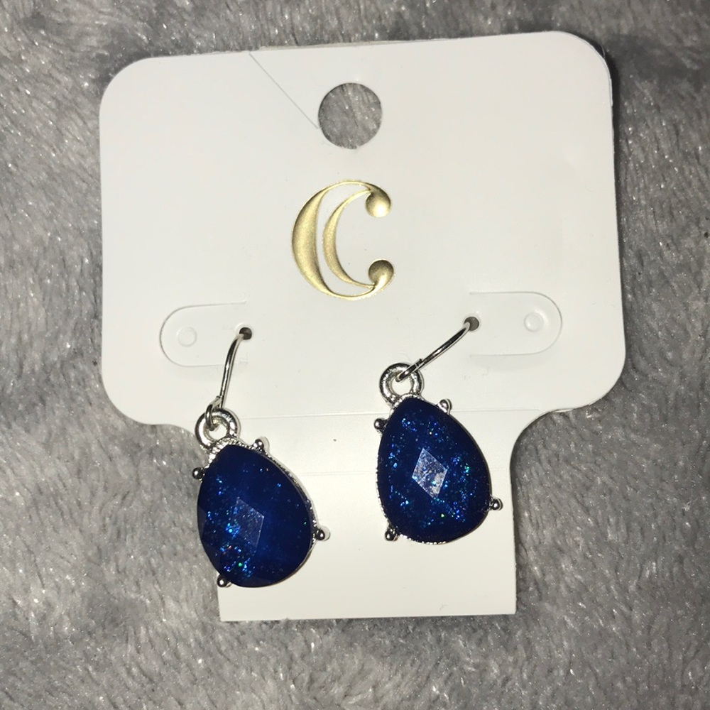 Blue Earrings